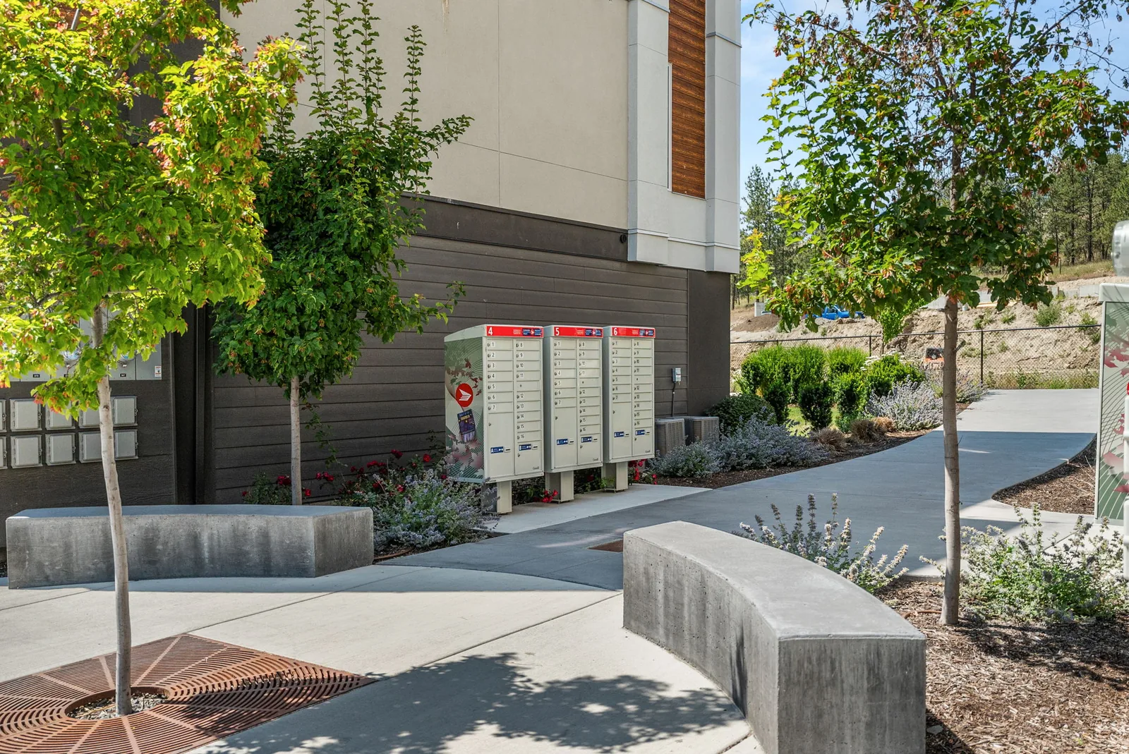 Benches, trees and pathways beside the community mailboxes at Academy Ridge